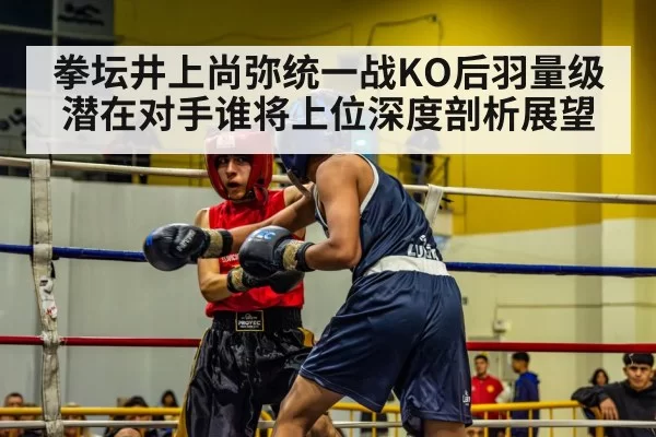 拳坛井上尚弥统一战KO后羽量级潜在对手谁将上位深度剖析展望