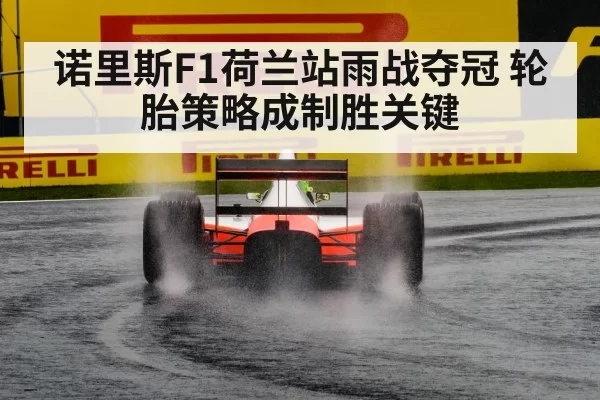 Formula 1 rain race